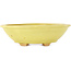 Pot à bonsaï Mokko jaune par Hattori - 163 x 140 x 48 mm