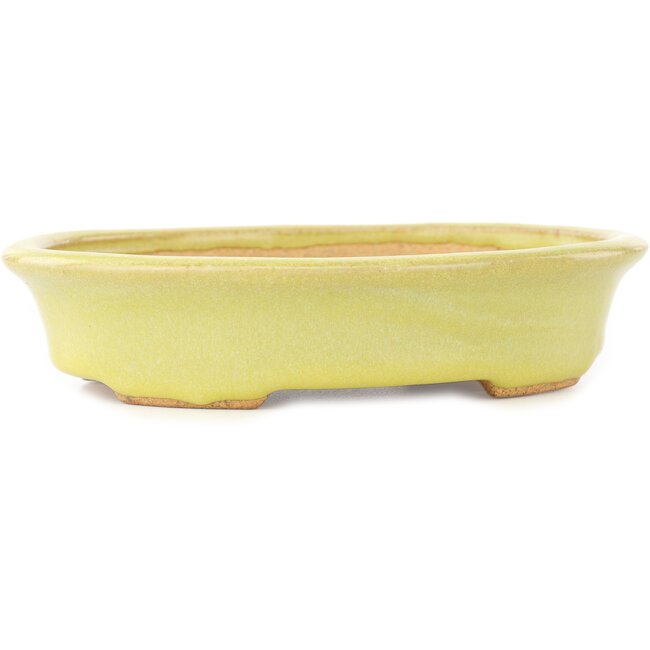 Oval yellow bonsai pot by Hattori - 167 x 130 x 37 mm