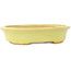 Pot à bonsaï ovale jaune de Hattori - 167 x 130 x 37 mm