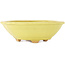 Pot à bonsaï Mokko jaune par Hattori - 163 x 140 x 48 mm