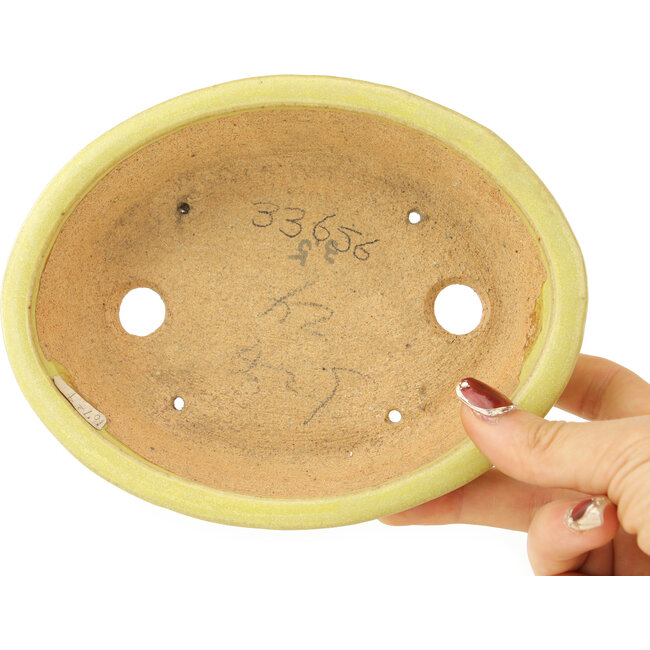 Maceta ovalada amarilla para bonsái de Hattori - 167 x 130 x 37 mm