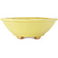 Pot à bonsaï Mokko jaune par Hattori - 163 x 140 x 48 mm