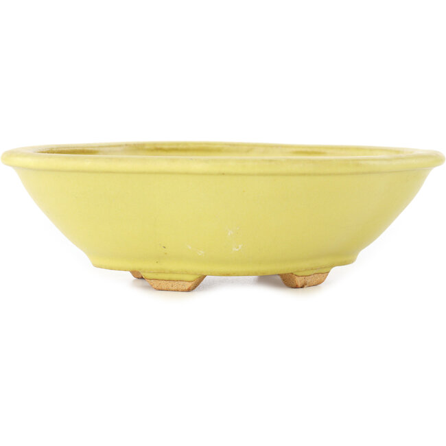 Vaso bonsai giallo Mokko di Hattori - 163 x 140 x 48 mm