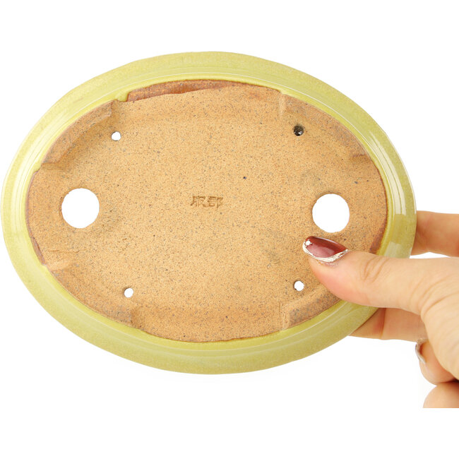 Maceta ovalada amarilla para bonsái de Hattori - 167 x 130 x 37 mm