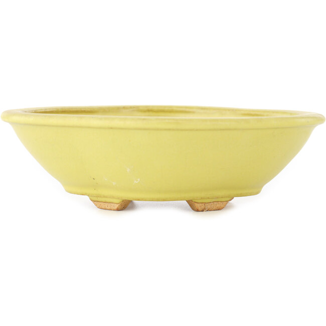 Vaso bonsai giallo Mokko di Hattori - 163 x 140 x 48 mm