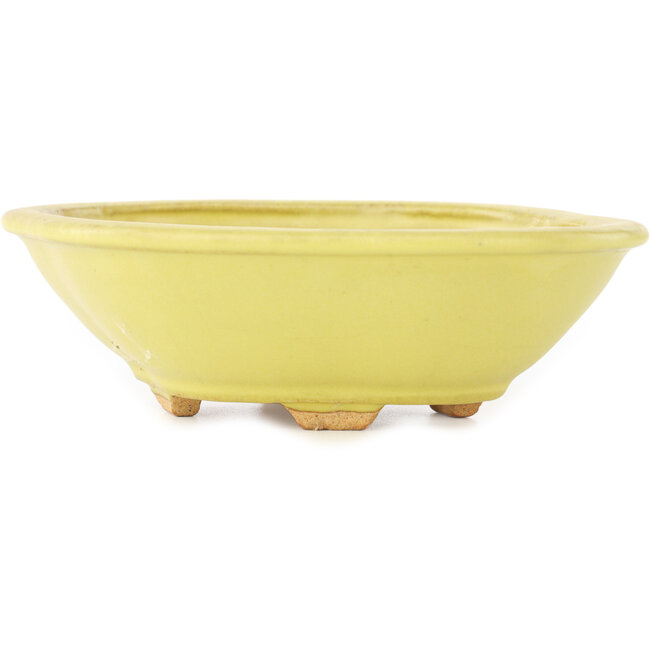 Pot à bonsaï Mokko jaune par Hattori - 163 x 140 x 48 mm