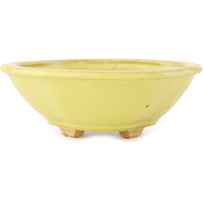 Vaso bonsai giallo Mokko di Hattori - 163 x 140 x 48 mm
