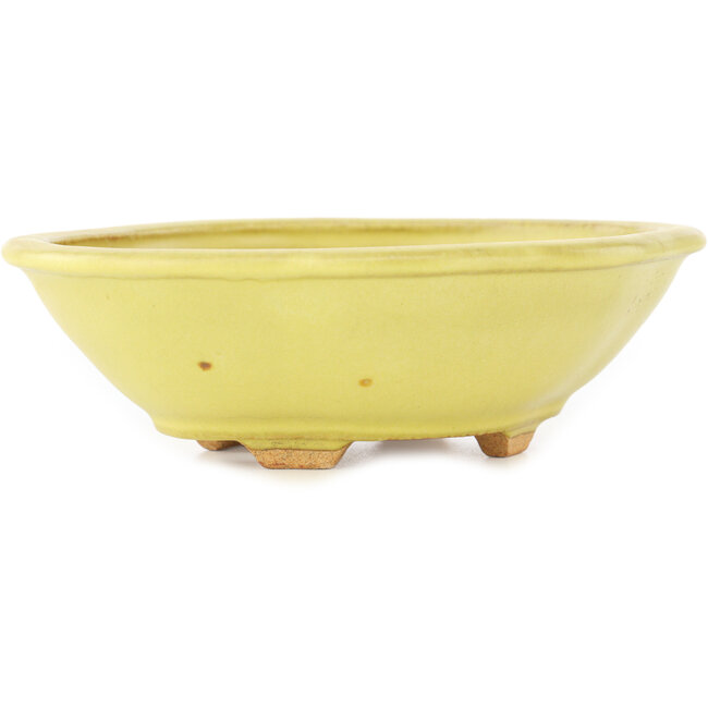 Mokko yellow bonsai pot by Hattori - 163 x 140 x 48 mm