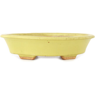  Hattori Tomoyuki Pot à bonsaï mokko jaune 163 mm par Hattori, Tokoname, Japon