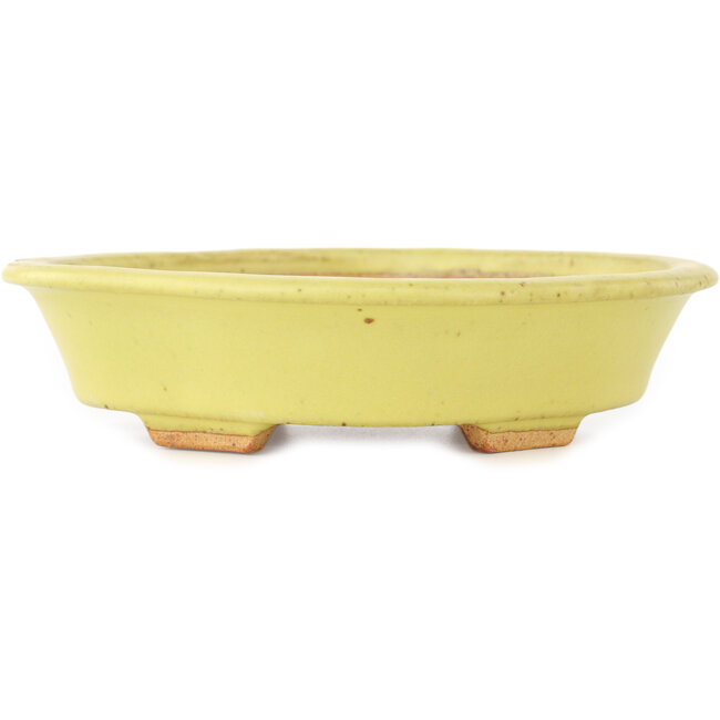 Pot à bonsaï Mokko jaune par Hattori - 163 x 140 x 40 mm