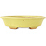 Mokko yellow bonsai pot by Hattori - 163 x 140 x 40 mm