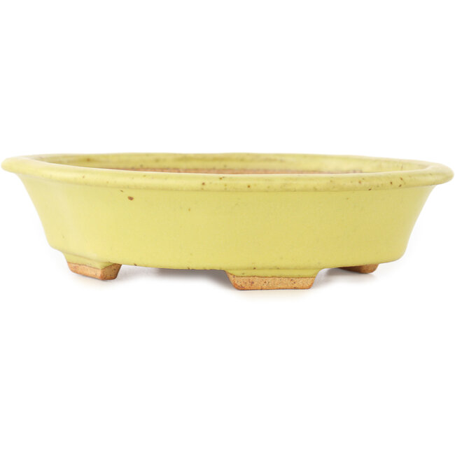 Pot à bonsaï Mokko jaune par Hattori - 163 x 140 x 40 mm