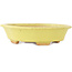 Maceta para bonsái amarilla Mokko de Hattori - 163 x 140 x 40 mm