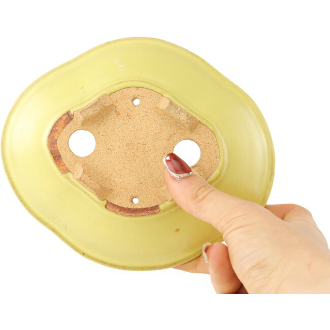 Maceta para bonsái amarilla Mokko de Hattori - 163 x 140 x 48 mm