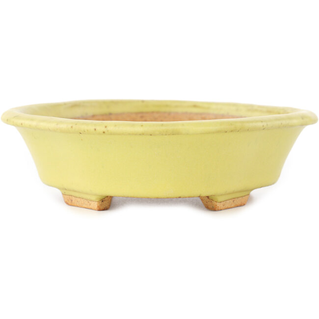 Mokko yellow bonsai pot by Hattori - 163 x 140 x 40 mm