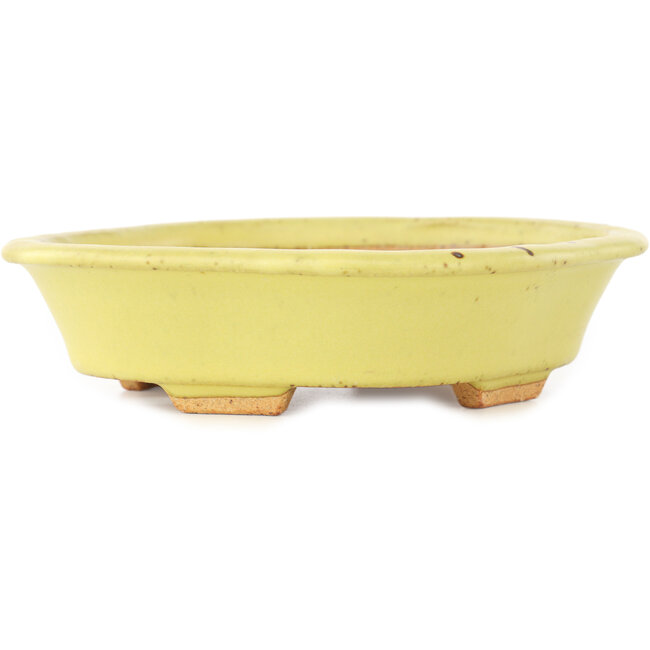 Vaso bonsai giallo Mokko di Hattori - 163 x 140 x 40 mm