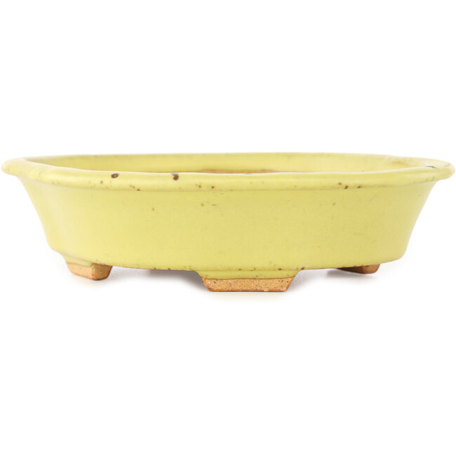 Pot à bonsaï Mokko jaune par Hattori - 163 x 140 x 40 mm