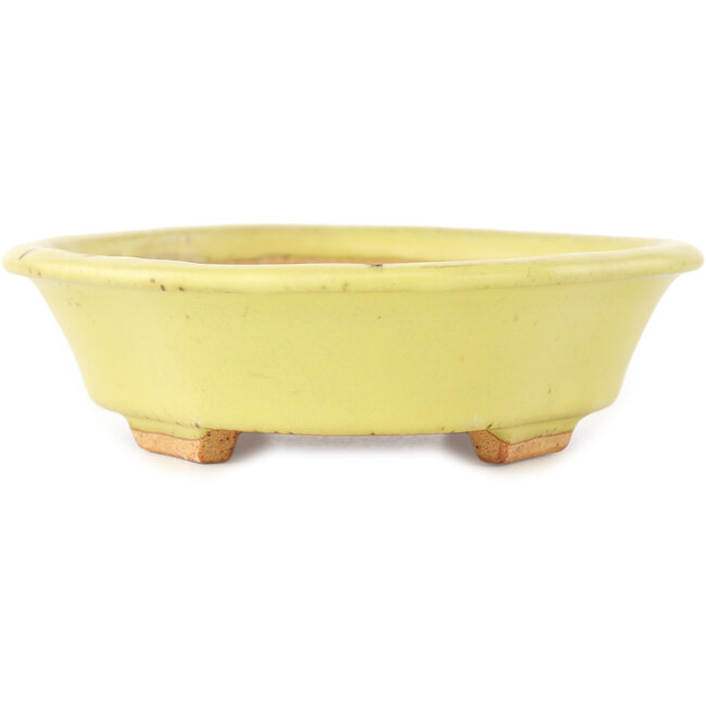 Vaso bonsai giallo Mokko di Hattori - 163 x 140 x 40 mm