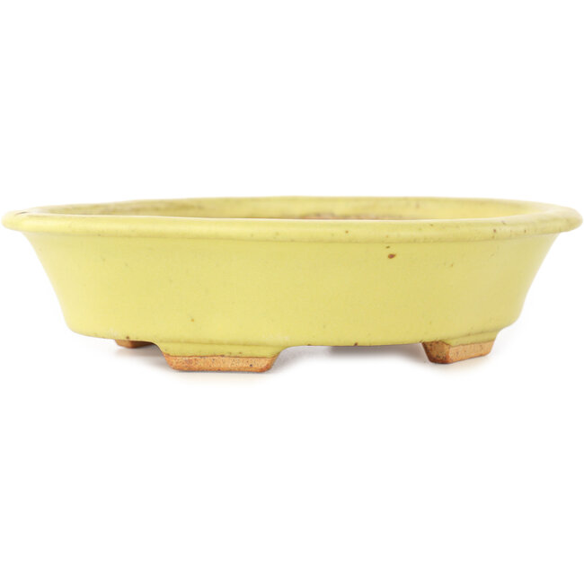 Mokko yellow bonsai pot by Hattori - 163 x 140 x 40 mm