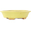 Vaso bonsai giallo Mokko di Hattori - 163 x 140 x 40 mm