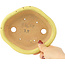 Maceta para bonsái amarilla Mokko de Hattori - 163 x 140 x 40 mm