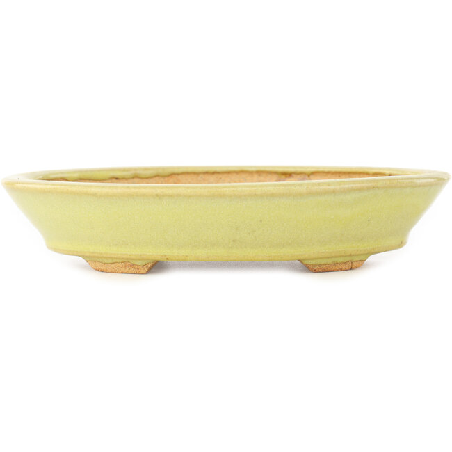 Pot à bonsaï ovale jaune de Hattori - 167 x 130 x 35 mm