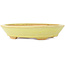 Oval yellow bonsai pot by Hattori - 167 x 130 x 35 mm