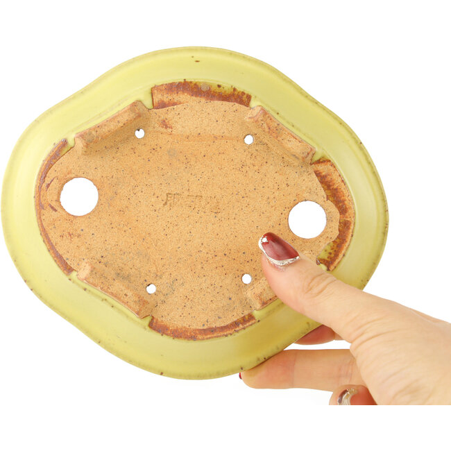 Maceta para bonsái amarilla Mokko de Hattori - 163 x 140 x 40 mm