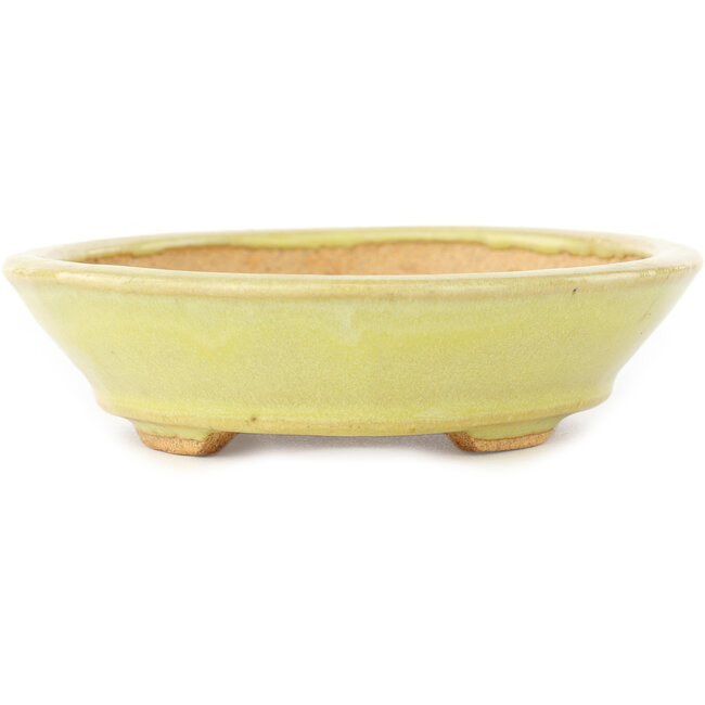 Oval yellow bonsai pot by Hattori - 167 x 130 x 35 mm