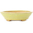 Oval yellow bonsai pot by Hattori - 167 x 130 x 35 mm