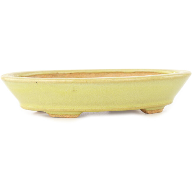 Ovale gele bonsai pot van Hattori - 167 x 130 x 35 mm