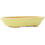 Oval yellow bonsai pot by Hattori - 167 x 130 x 35 mm