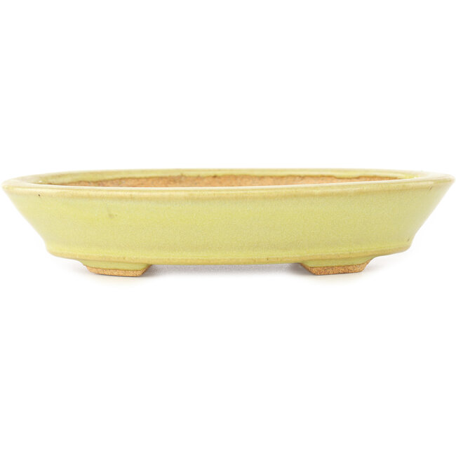 Oval yellow bonsai pot by Hattori - 167 x 130 x 35 mm