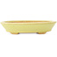 Pot à bonsaï ovale jaune de Hattori - 167 x 130 x 35 mm