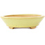 Oval yellow bonsai pot by Hattori - 167 x 130 x 35 mm