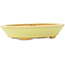 Oval yellow bonsai pot by Hattori - 167 x 130 x 35 mm