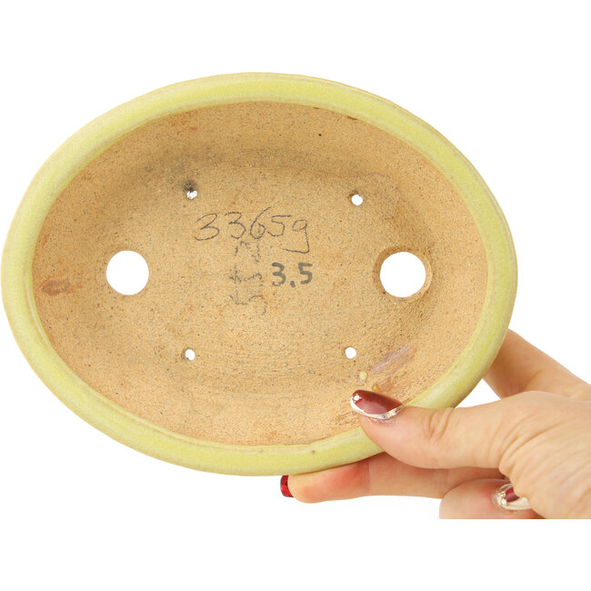 Pot à bonsaï ovale jaune de Hattori - 167 x 130 x 35 mm