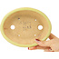 Oval yellow bonsai pot by Hattori - 167 x 130 x 35 mm