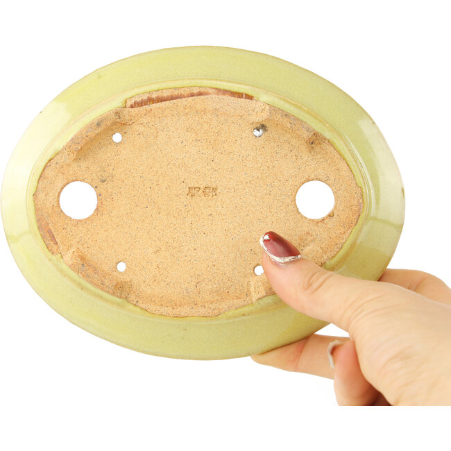 Maceta ovalada amarilla para bonsái de Hattori - 167 x 130 x 35 mm