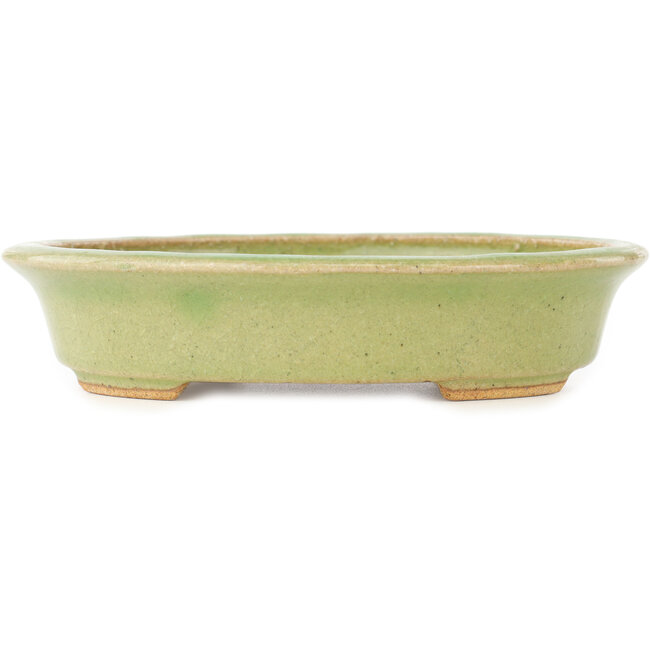 Pot à bonsaï ovale vert de Hattori - 167 x 133 x 37 mm