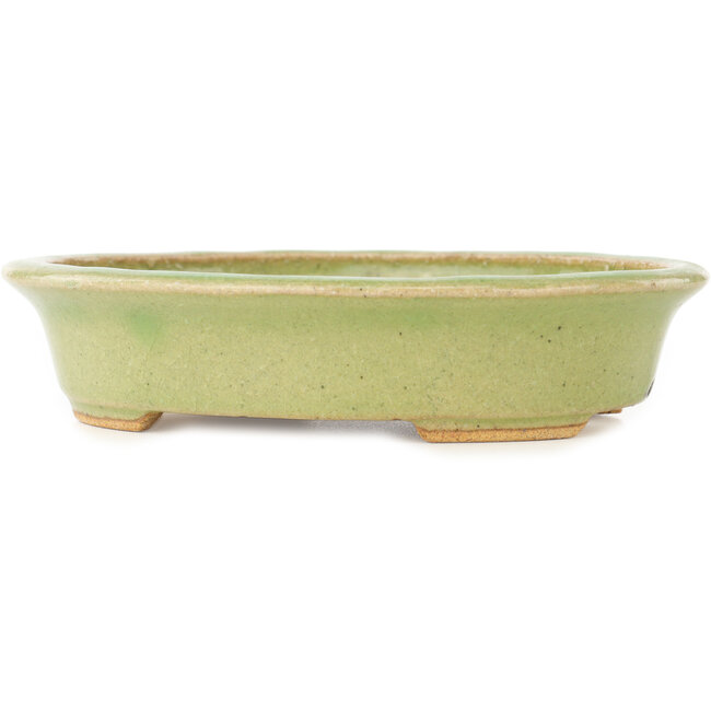 Ovale groene bonsai pot van Hattori - 167 x 133 x 37 mm
