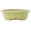 Pot à bonsaï ovale vert de Hattori - 167 x 133 x 37 mm