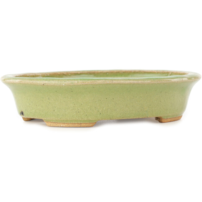 Oval green bonsai pot by Hattori - 167 x 133 x 37 mm