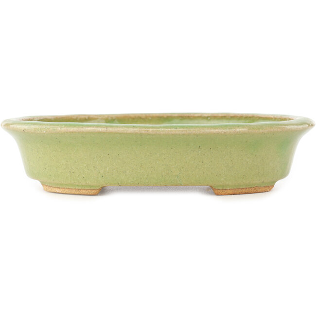 Oval green bonsai pot by Hattori - 167 x 133 x 37 mm