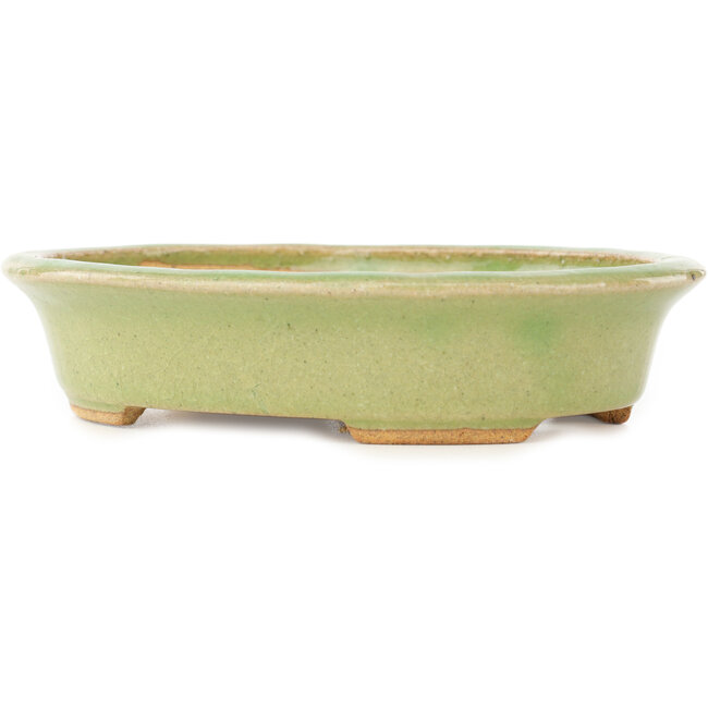 Ovale groene bonsai pot van Hattori - 167 x 133 x 37 mm
