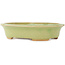 Ovale groene bonsai pot van Hattori - 167 x 133 x 37 mm