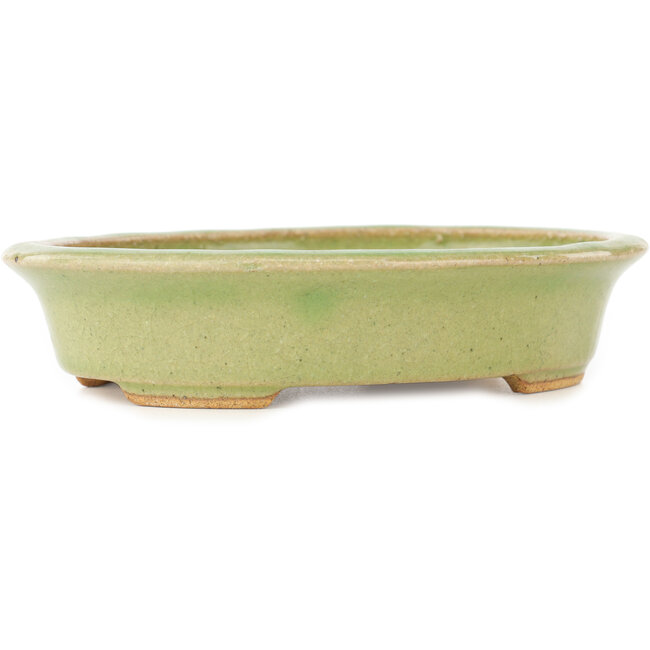 Ovale groene bonsai pot van Hattori - 167 x 133 x 37 mm