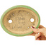 Pot à bonsaï ovale vert de Hattori - 167 x 133 x 37 mm