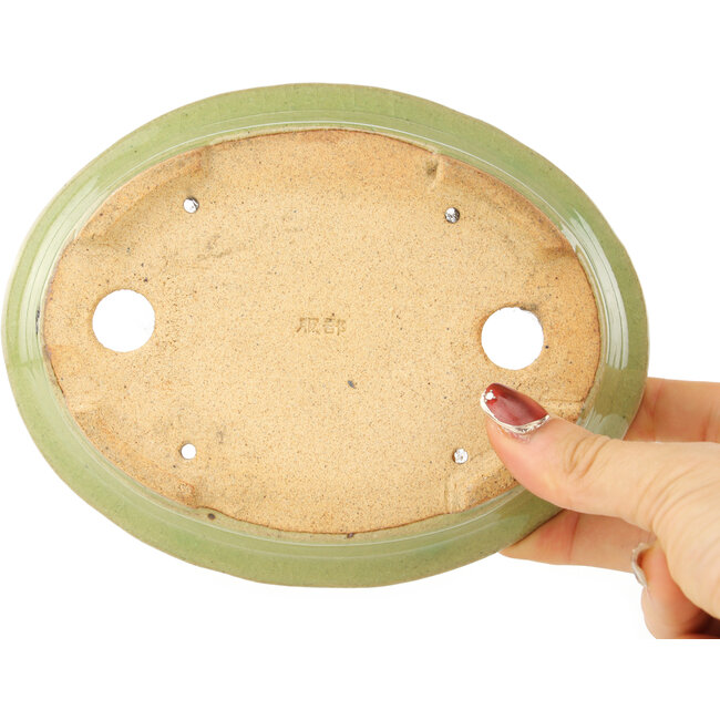 Maceta ovalada verde para bonsái de Hattori - 167 x 133 x 37 mm
