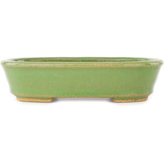  Hattori Tomoyuki Maceta para bonsái verde ovalada de 157 mm de Hattori, Tokoname, Japón